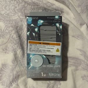 Ashland Turquoise LED String Lights with Silver Wire
